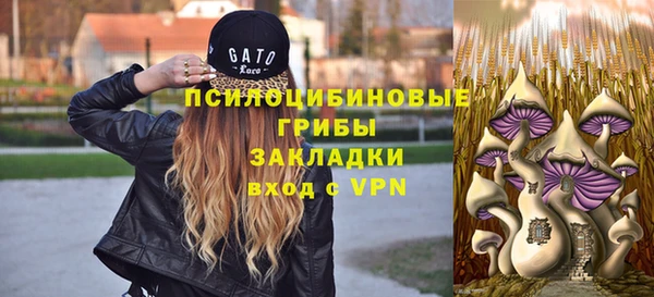 соль курить ск Алексин