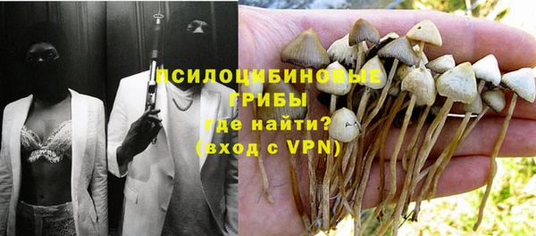 дживик Алзамай