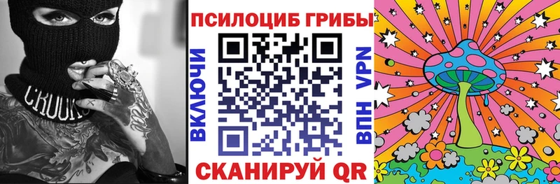 закладка  Чистополь  Псилоцибиновые грибы Magic Shrooms 