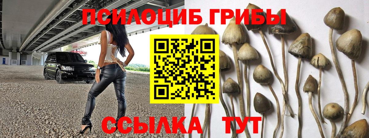 Псилоцибиновые грибы прущие грибы  Псилоцибиновые грибы GOLDEN TEACHER  Вход с VPN  Чистополь 